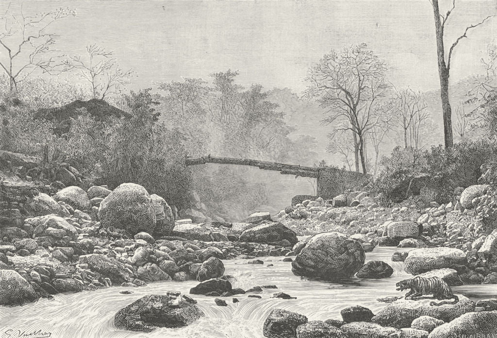 SIKKIM. Bridge Tributary Ranjit  c1885 old antique vintage print picture
